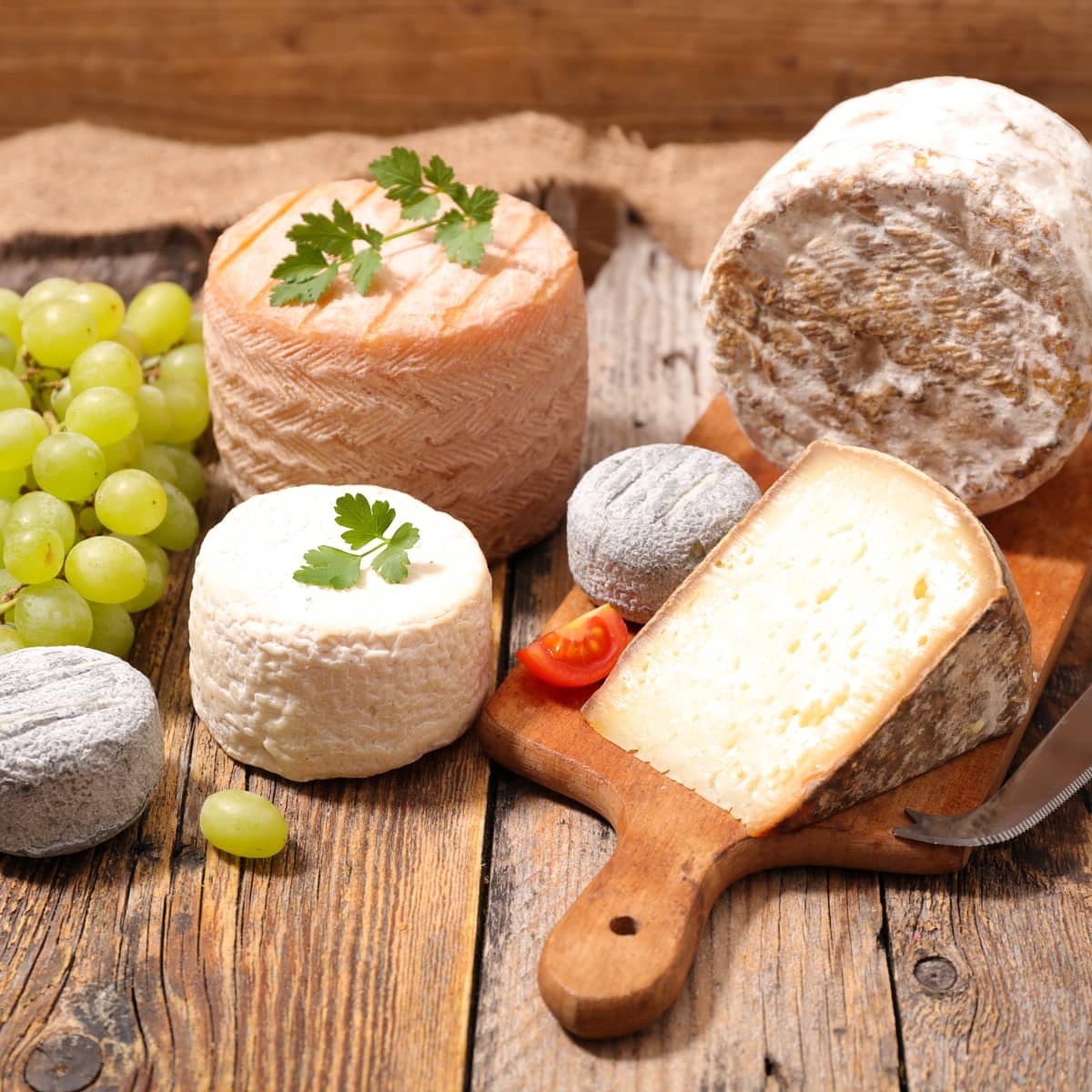 gastronomia